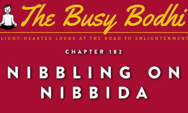 Busy Bodhi: Nibbling on Nibbida